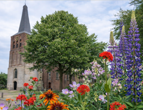 Zomerzingen met Caspar van der Vinne: meld je aan!